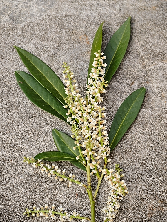 03 building plantings carousel 4 desktop 2x