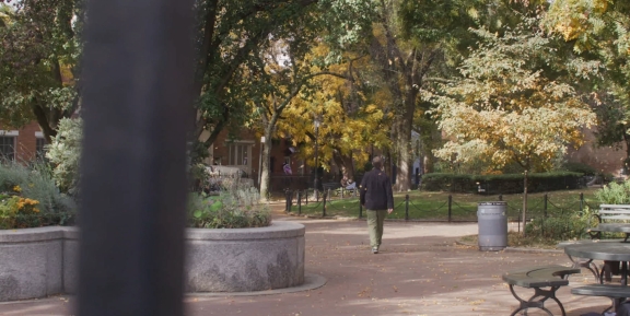 Neighborhood video 2