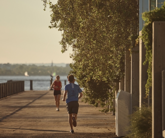 Brooklyn bridge park image