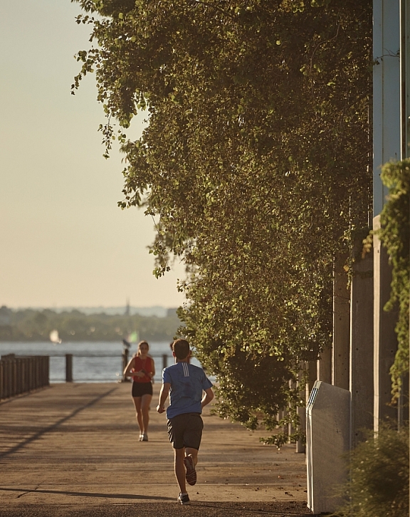 Brooklyn bridge park image mobile