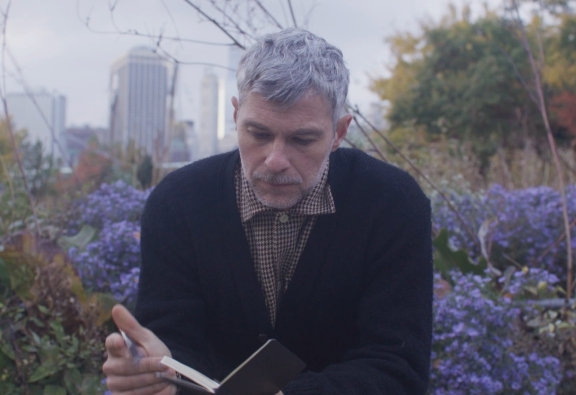 Brook landscape video 1