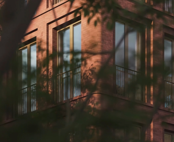 Hummingbird animation